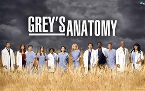 Grey`s Anatomy